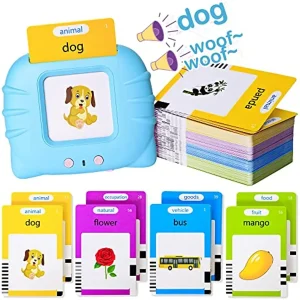 Talking Flash Cards Toy